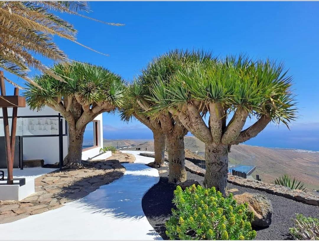 Casa La Tunera, Country House, Haria, Lanzarote エクステリア 写真