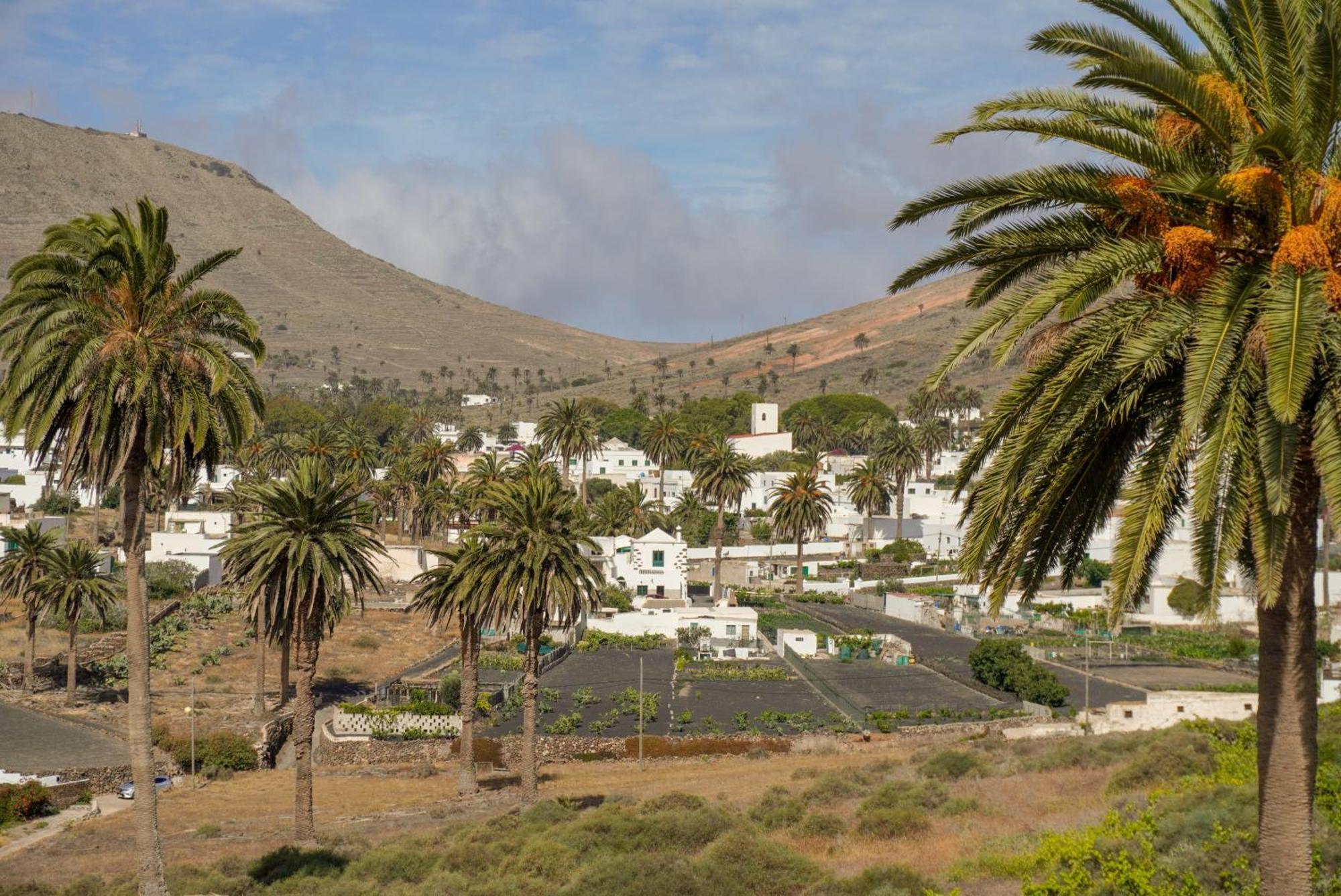 Casa La Tunera, Country House, Haria, Lanzarote エクステリア 写真